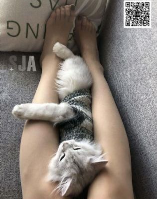 国产igao为爱做激情_BD国语迅雷电影在线